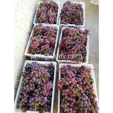 Początek czerwonych winogron Xinjiang